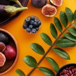 Les bienfaits des antioxydants dans lalimentation : comment optimiser votre alimentation pour protéger votre santé au quotidien